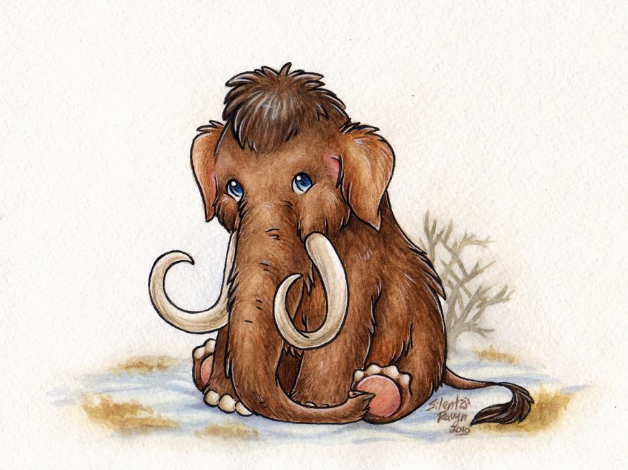 900x674 wooly mammoth - Woolly Mammoth Drawing