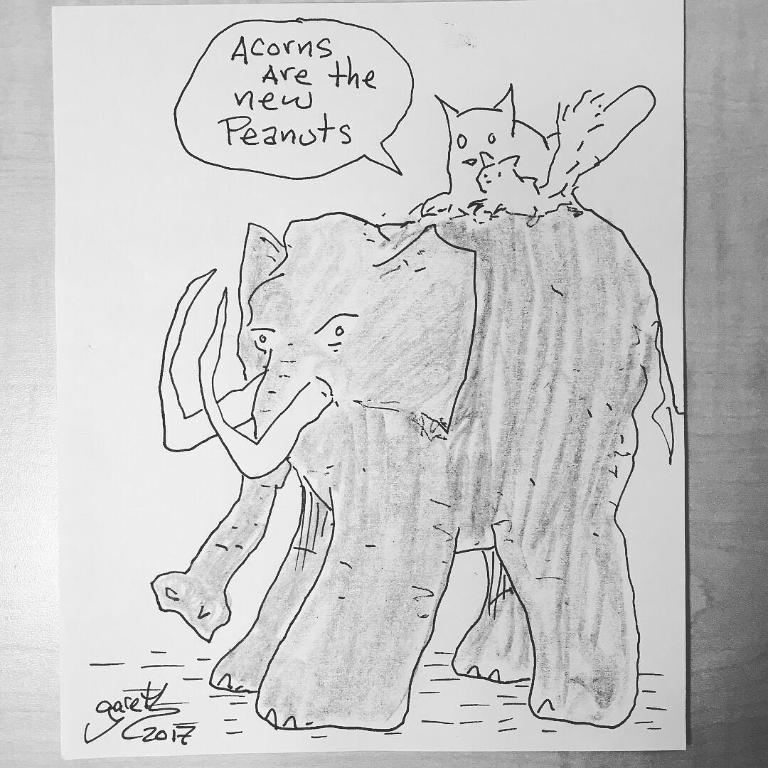 1080x1080 gareth gaudin, perogy cat, squirrel, and the woolly mammoth - Woolly Mammoth Drawing