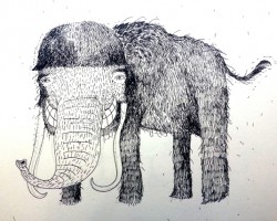 250x200 grinning woolly mammoth drawing quality vectors and drawings - Woolly Mammoth Drawing