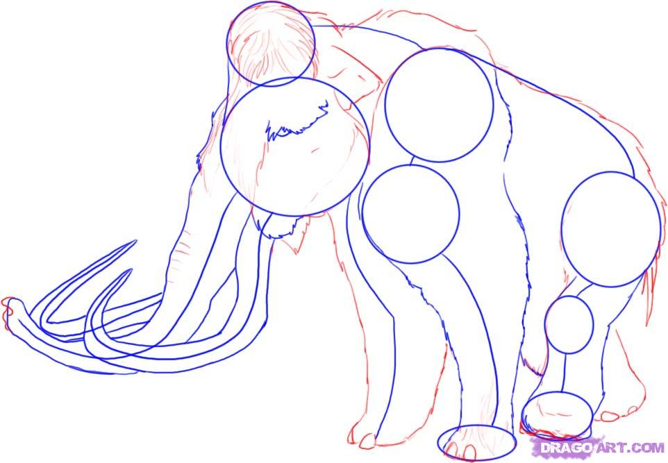 962x667 How To Draw A Woolly Mammoth, Step - Wooly Mammoth Drawing