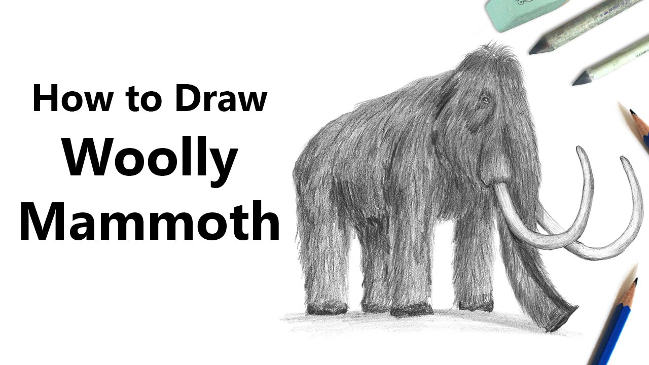 1280x720 How To Draw A Woolly Mammoth With Pencils - Wooly Mammoth Drawing