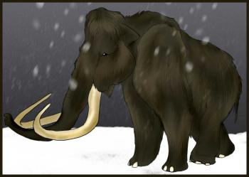 350x249 How To Draw How To Draw A Woolly Mammoth - Wooly Mammoth Drawing