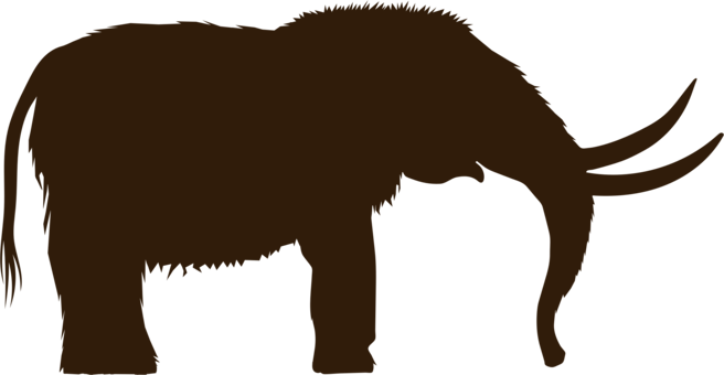 656x340 The Woolly Mammoth Drawing Mammal Cc0 - Wooly Mammoth Drawing