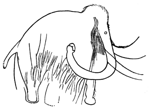 520x381 caveman diet data preservation of a woolly mammoth - Wooly Mammoth Drawing
