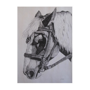 300x300 Old Workhorse Drawing - Workhorse Drawing