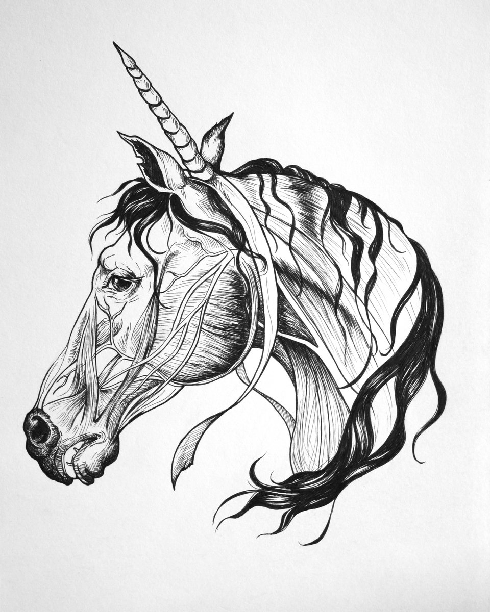960x1200 Workhorse Unwed Mothers - Workhorse Drawing
