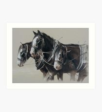 210x230 Workhorse Drawing Art Prints Redbubble - Workhorse Drawing