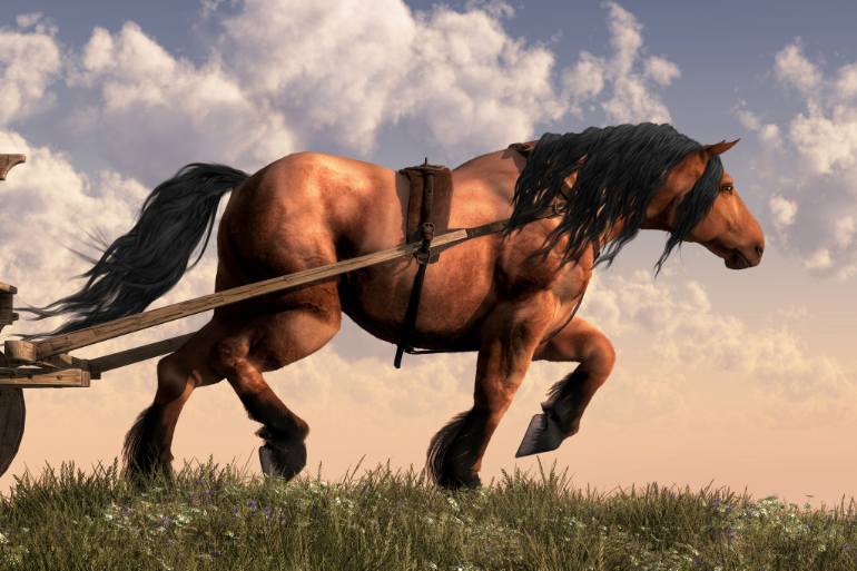 770x513 Workhorse Drawing - Workhorse Drawing