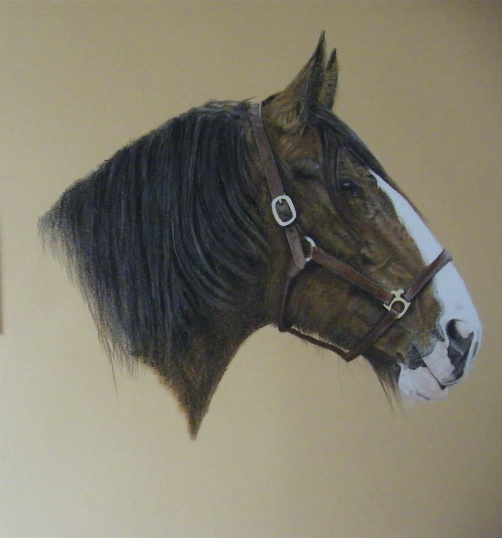 1000x1072 Workhorse - Workhorse Drawing