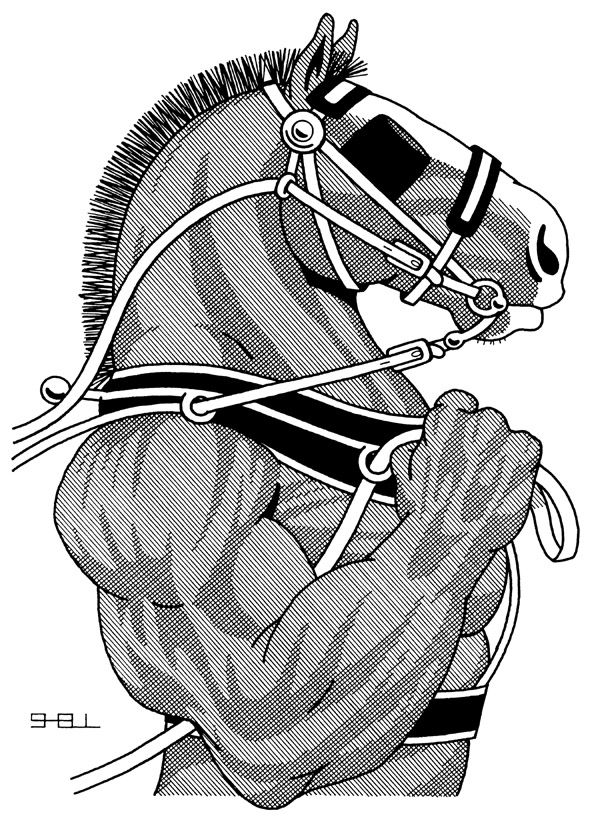 600x820 workhorse beer labels beer label, clydesdale, sheffield - Workhorse Drawing