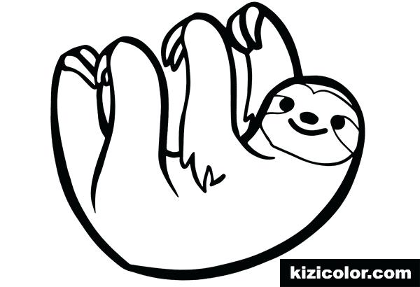 600x410 simple line drawings for kids two toed sloth simple line drawing - Workout Drawings