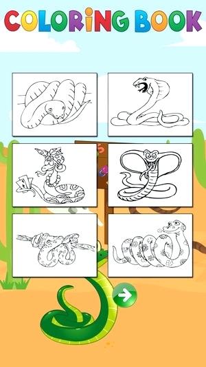 300x533 snake books for kids rattle snakes kids explore animal books - Workout Drawings