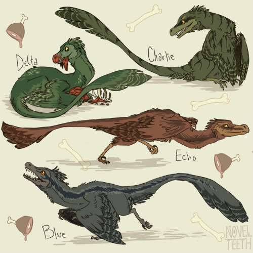 500x500 Drawing Art Dinosaur Sketch Artists On Tumblr Novelteeth Jurassic - World Drawing Tumblr