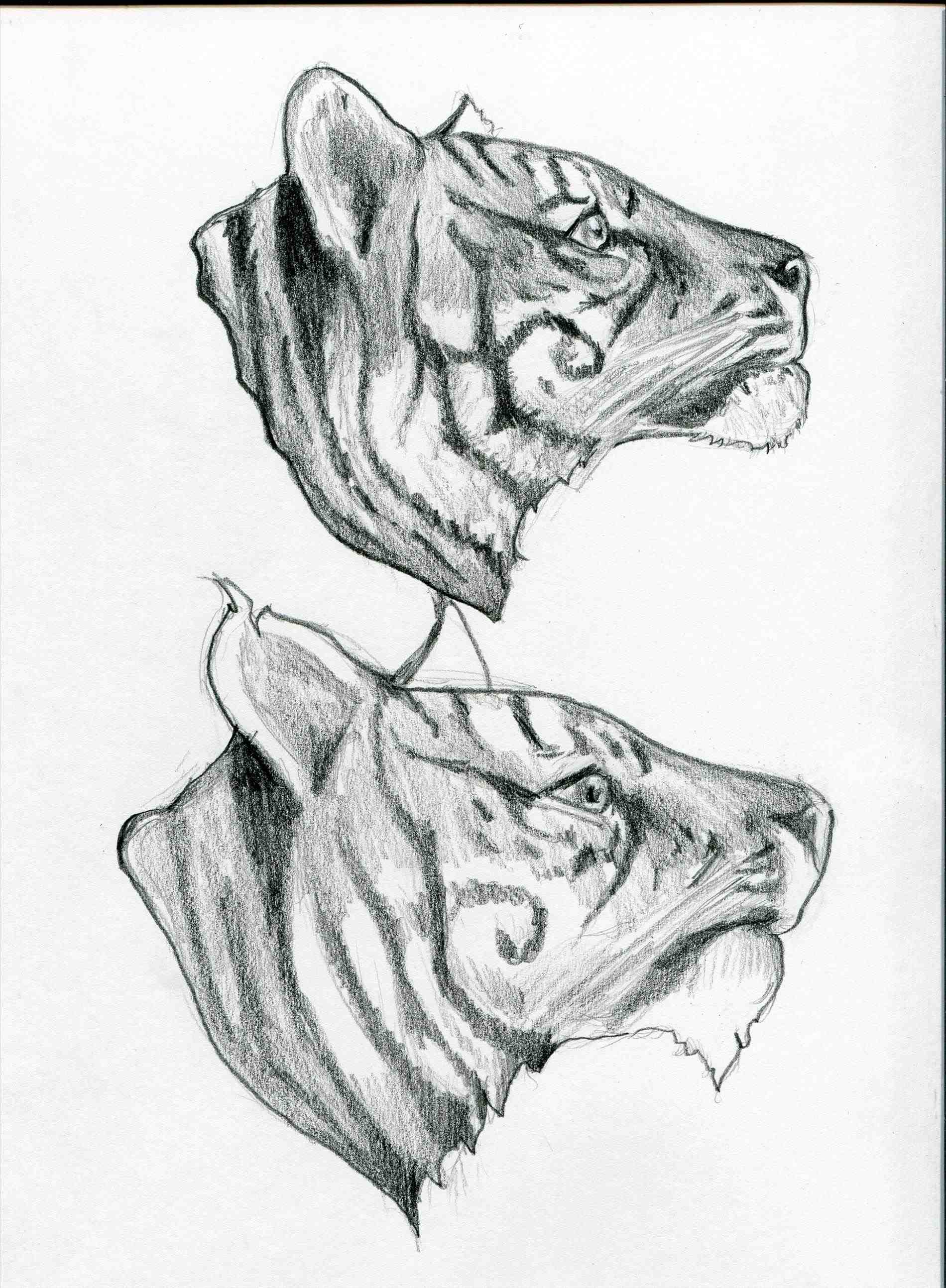 1900x2588 Tumblr Drawing Ideas - World Drawing Tumblr