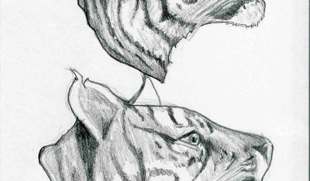 1024x600 Tumblr Stock Graph - World Drawing Tumblr