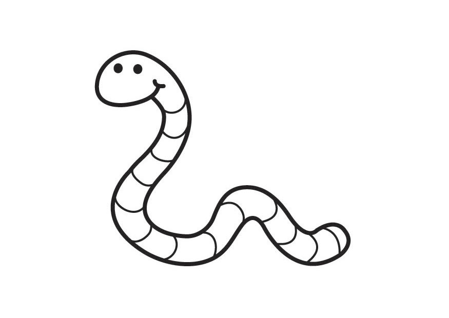 875x620 worm clipart drawing - Worm Cartoon Drawing