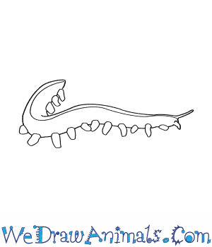 300x350 how to draw a velvet worm - Worm Drawing