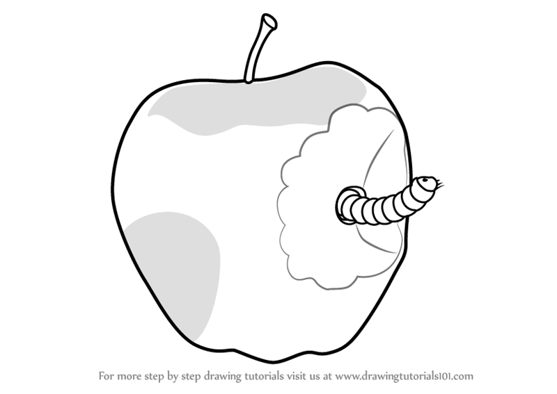 800x567 learn how to draw an apple with worm - Worm Drawing