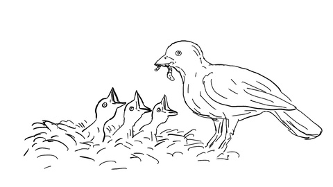 480x270 bird feeding worm to chicks drawing animation video - Worm Drawing