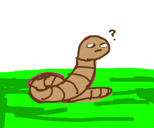300x250 confused worm drawing - Worm Drawing