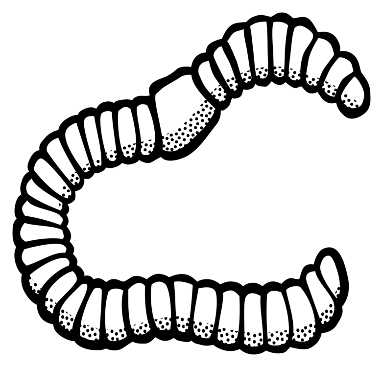 782x750 earthworm black and white drawing cc0 - Worm Drawing