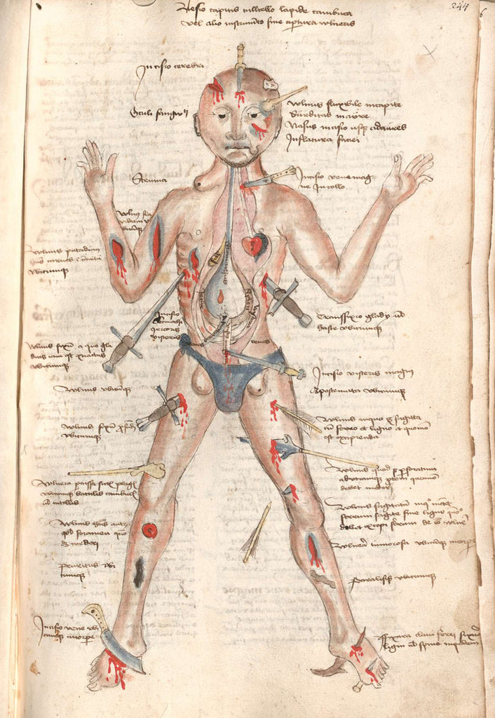 706x1024 the many lives of the medieval wound man - Wound Drawing