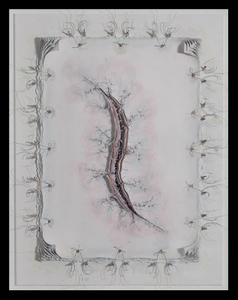 238x300 wound drawing - Wound Drawing