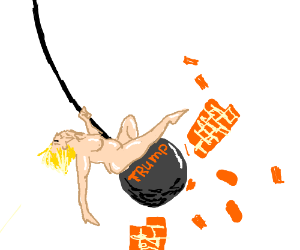 300x250 trump came in like a wrecking ball drawing - Wrecking Ball Drawing