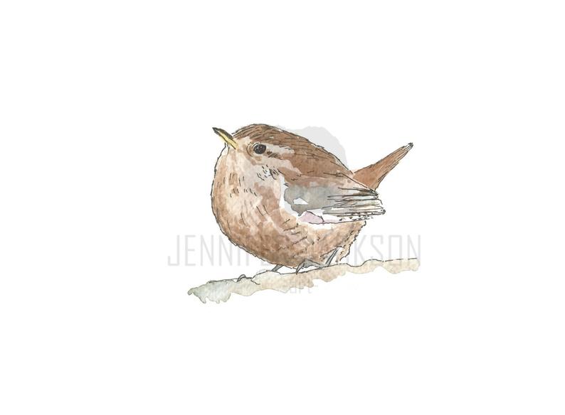 794x584 wren wren bird garden bird bird painting birds bird wren etsy - Wren Drawing