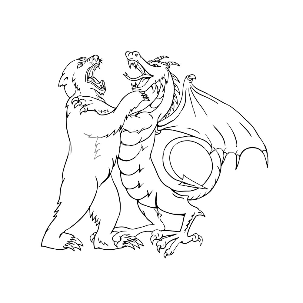 1000x1000 drawing sketch style illustration of a bear wrestling, jousting - Wrestling Drawing Images
