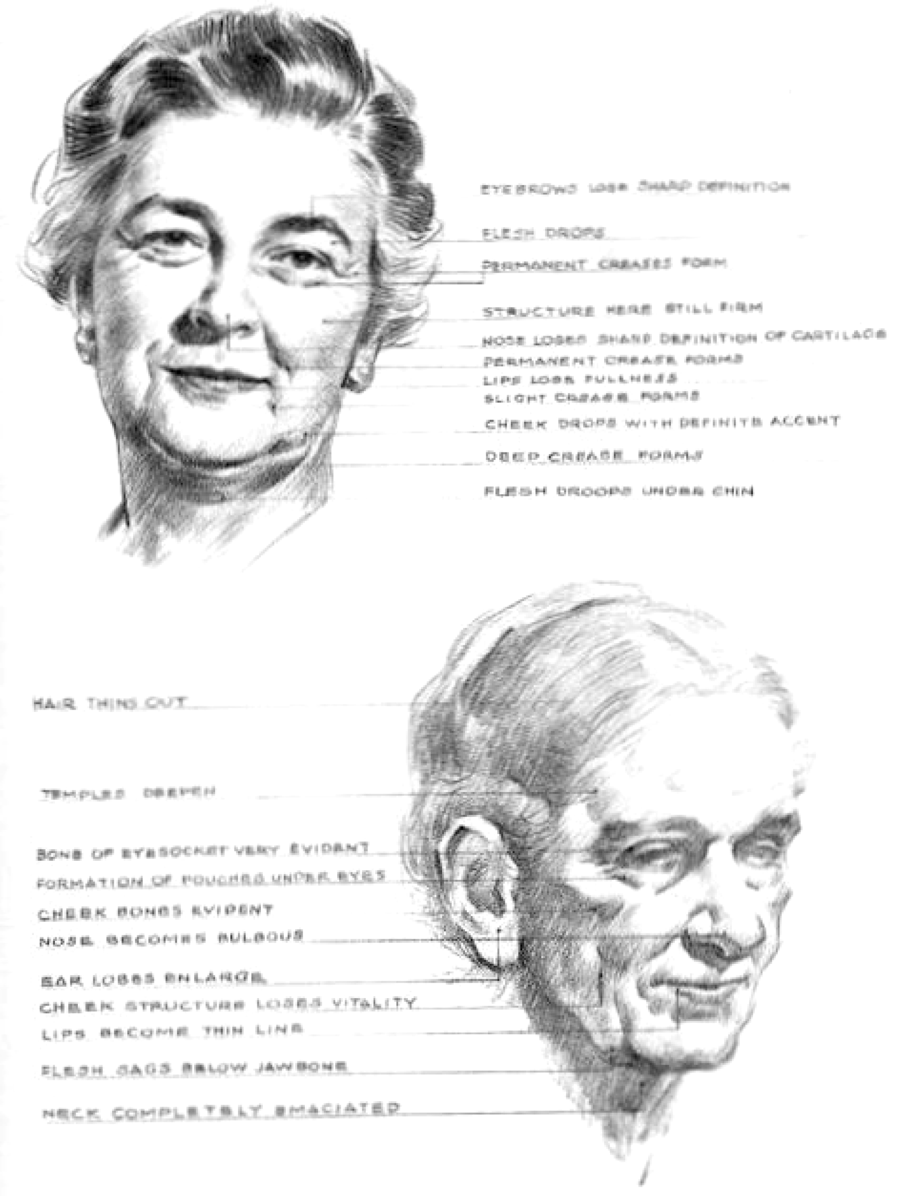 1800x2395 How To Draw Aging Faces And Hands And Where To Draw Wrinkles - Wrinkles Drawing