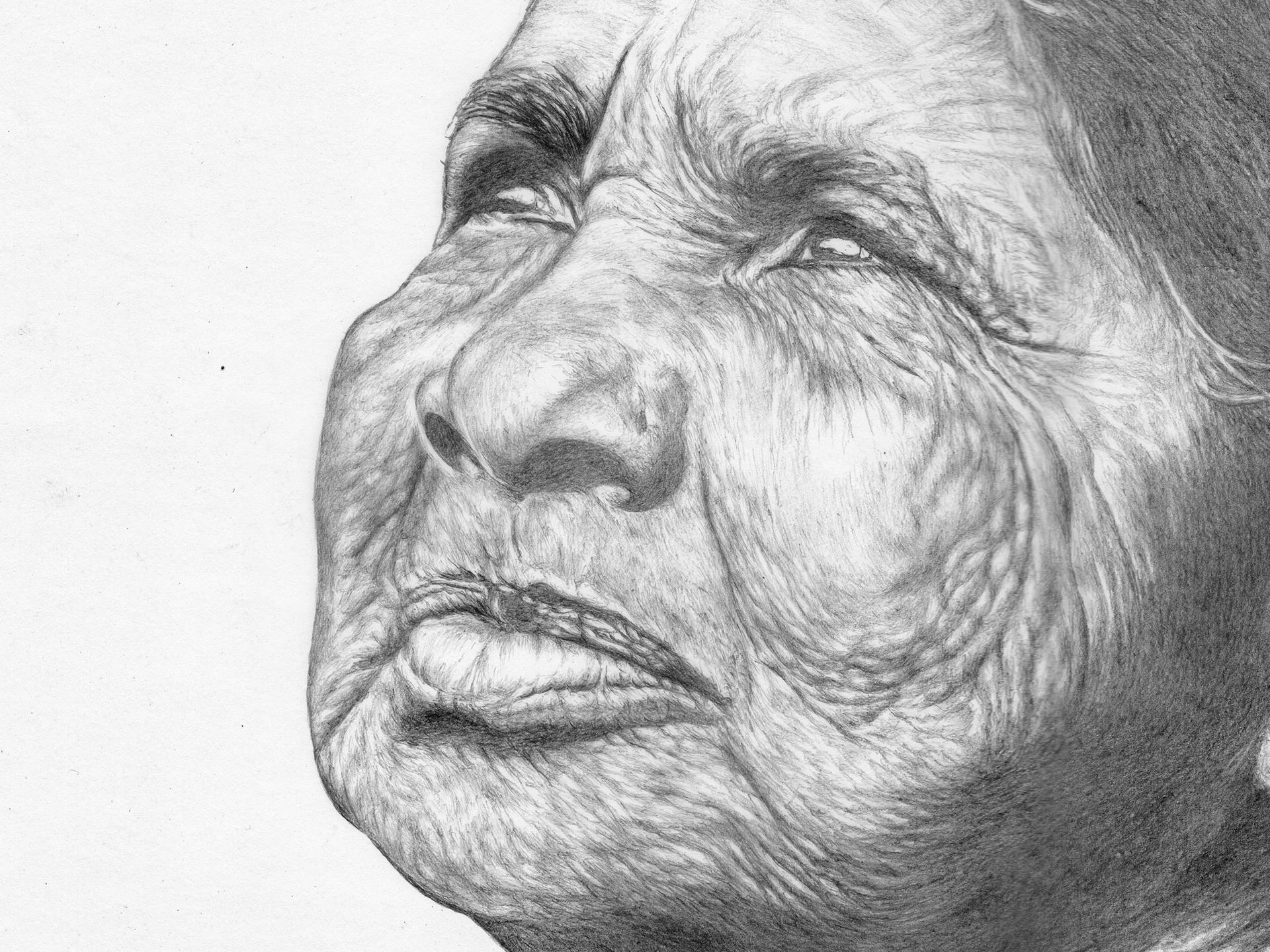 Wrinkles Drawing at Explore collection of Wrinkles
