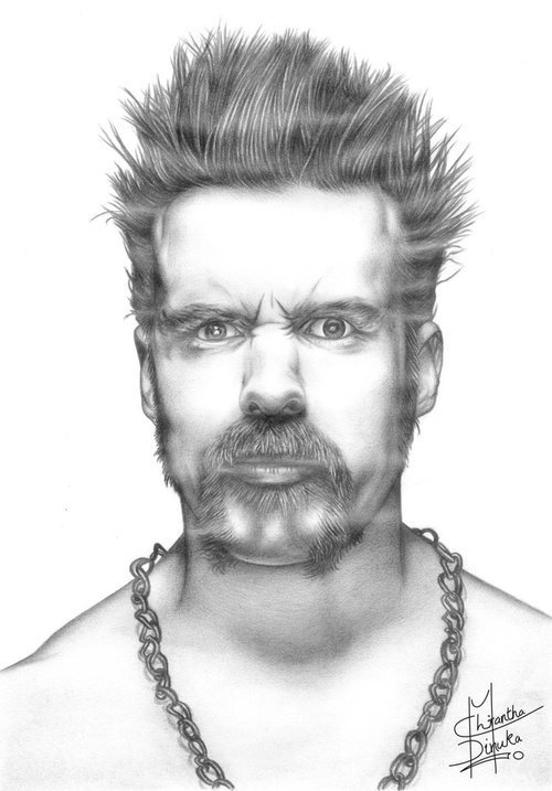 500x717 Wwe Drawings - Wwe Drawing