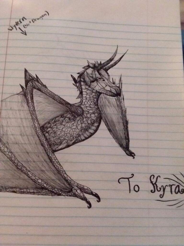 768x1024 first successful wyvern drawing virtual space amino - Wyvern Drawing