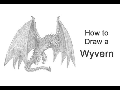 480x360 How To Draw A Wyvern - Wyvern Drawing
