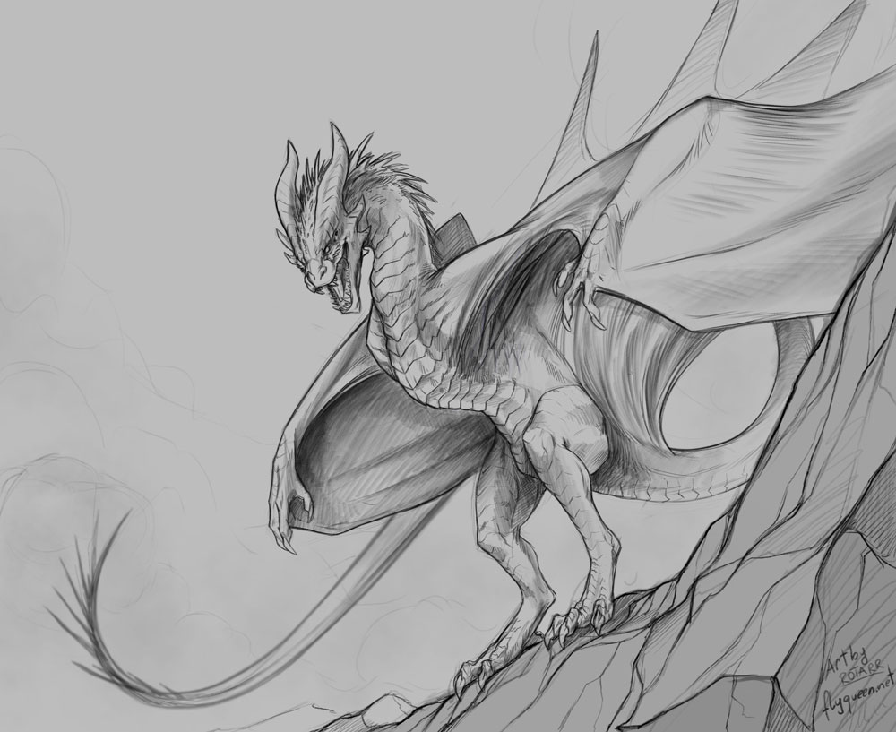 1000x817 Mountain Wyvern Drawing - Wyvern Drawing