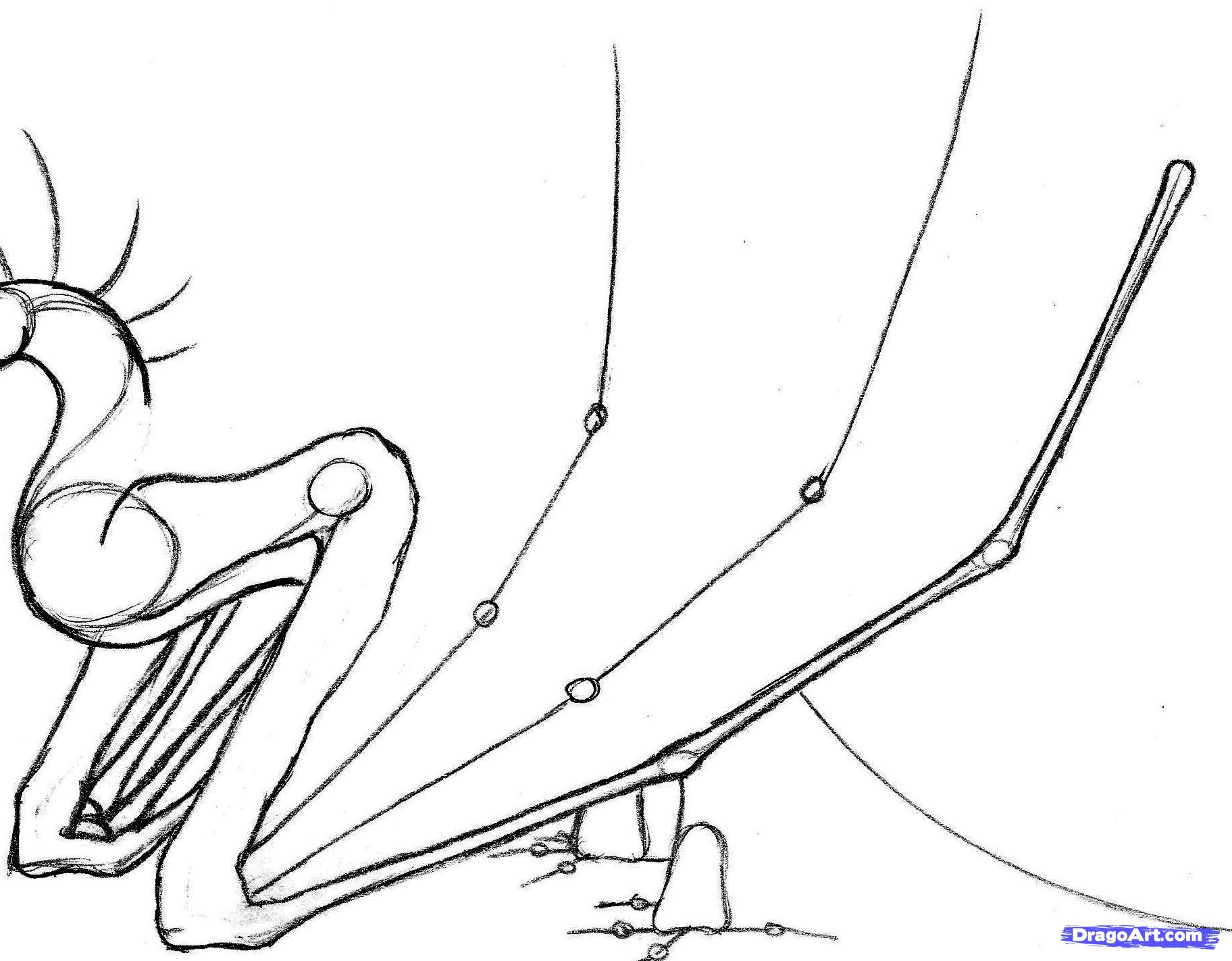 1824x1423 Draw A Wyvern, Step - Wyvern Drawing