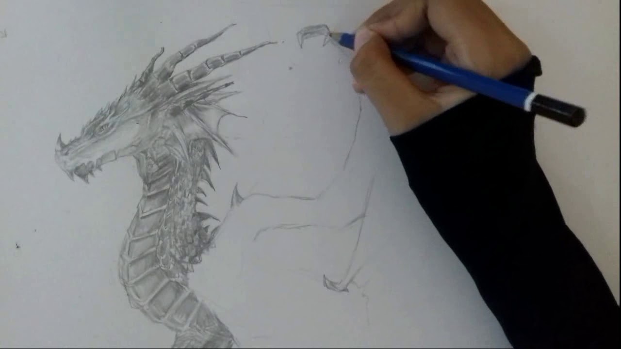 Wyvern Drawing at PaintingValley.com | Explore collection of Wyvern Drawing