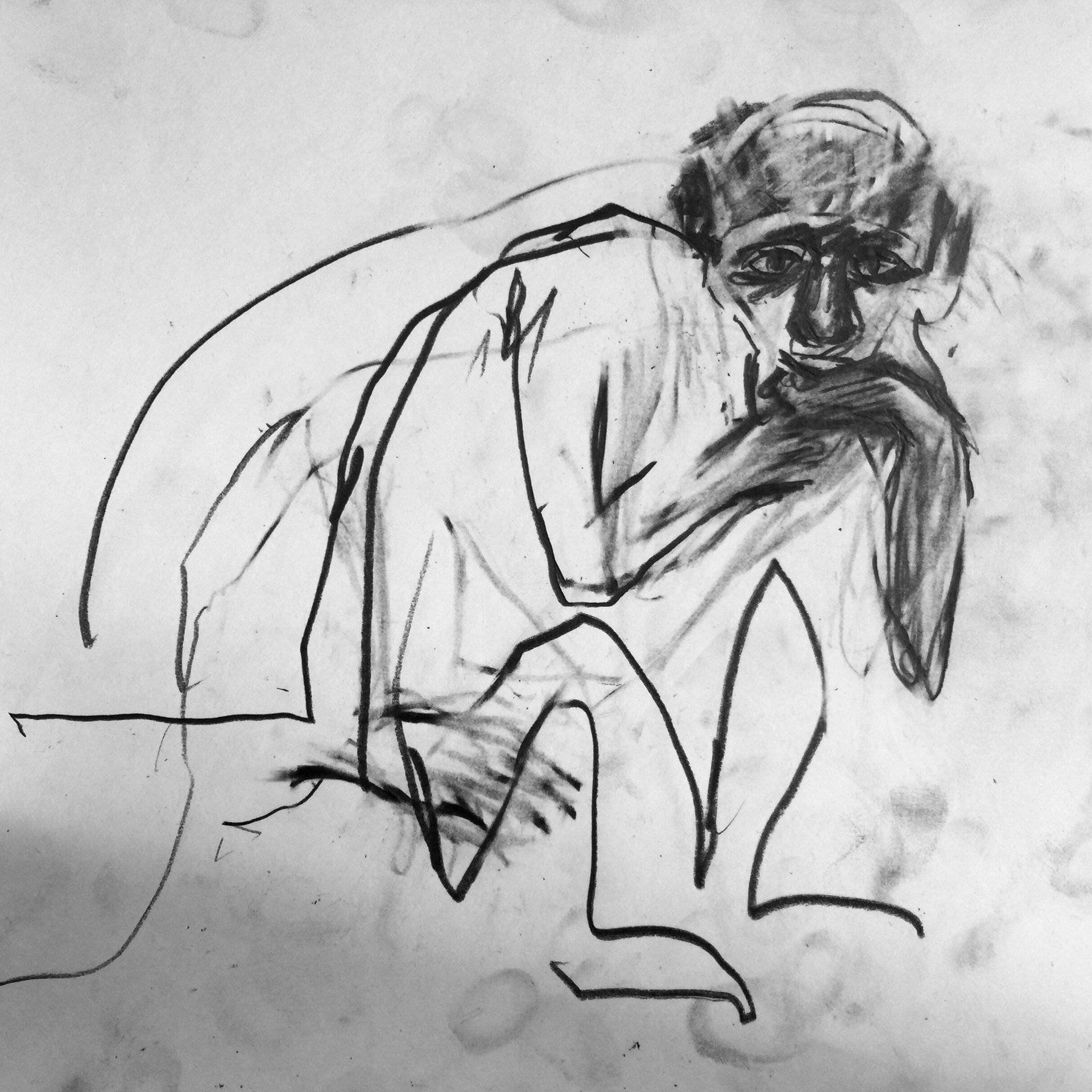 1920x1920 Original Pencil Drawings, Sketches Of Birds, Tropical Flowers - X Drawing