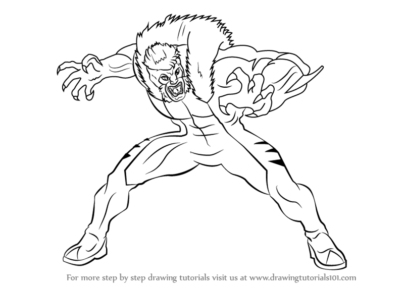 800x567 learn how to draw sabretooth from x men - X Men Drawing