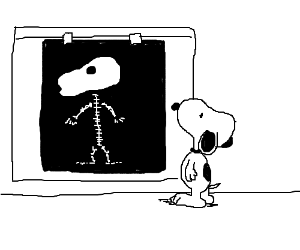 300x250 snoopy x ray drawing - X Ray Drawing
