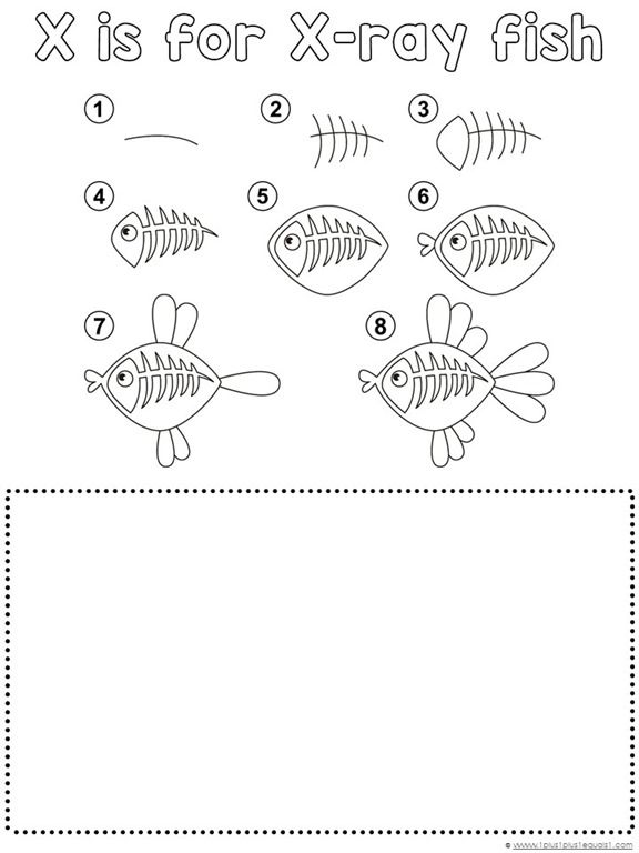 X Ray Drawing at Explore collection of X Ray Drawing