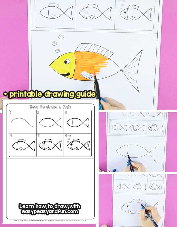 700x900 How To Draw A Fish Step - X Ray Drawing Kindergarten