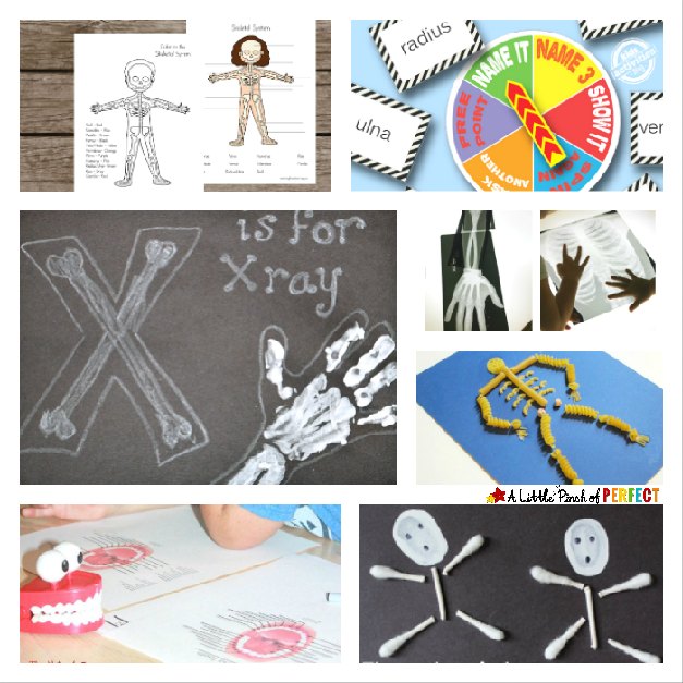 627x627 Learning About Bones - X Ray Drawing Kindergarten