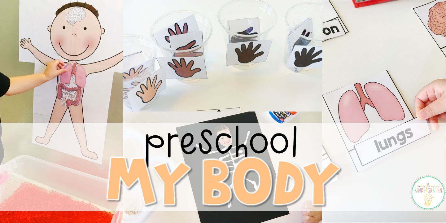 1440x720 Preschool My Body - X Ray Drawing Kindergarten