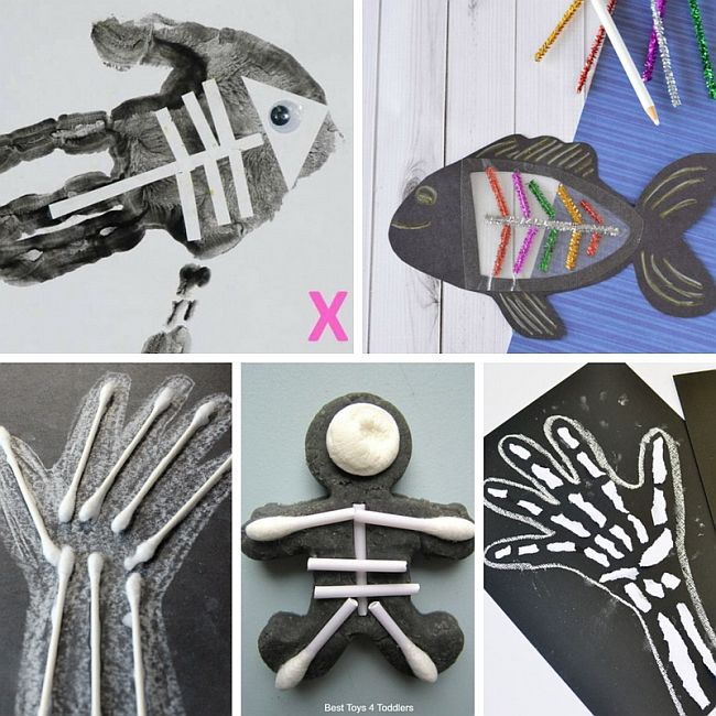 650x650 x ray theme for tot school and preschool - X Ray Drawing Kindergarten