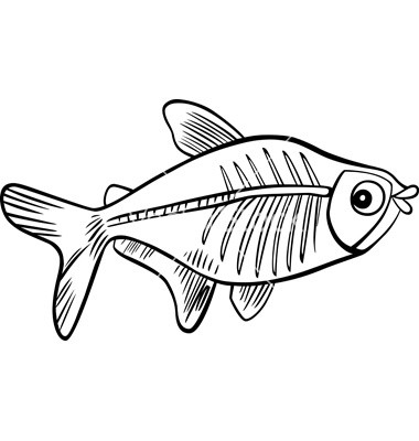 380x400 x ray fish coloring halloween coloring pages x ray fish coloring - X Ray Fish Drawing