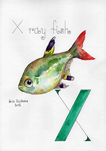 352x500 x ray fish - X Ray Fish Drawing