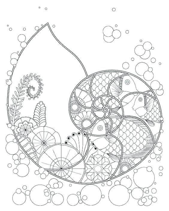 564x705 x ray fish coloring page - X Ray Fish Drawing