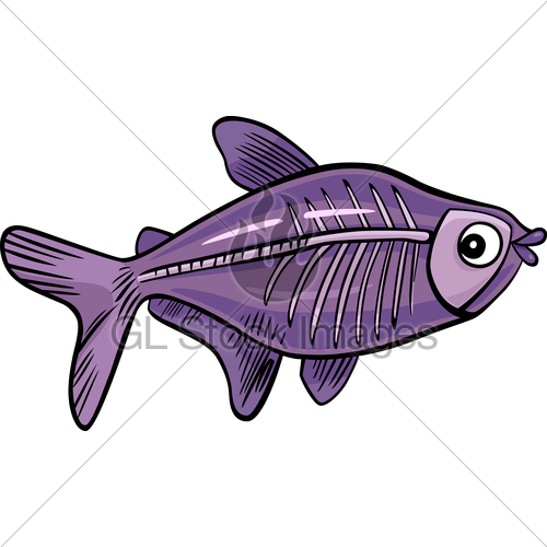 500x500 cartoon x ray fish gl stock images - X Ray Fish Drawing